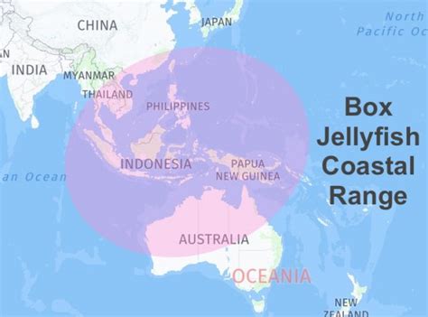 box jellyfish distribution|where are box jellyfish located.